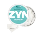 ZYN Cool Mint Mini 3mg - Image 3