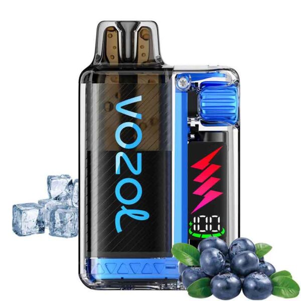 Vozol Vista Plug 10K Puffs 20mg 2ml Kit + 10ml e liquid Blueberry Ice