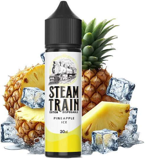 Steam Train Disposable Edition Pineapple Ice 60ml