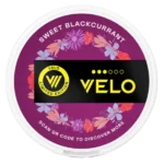 VELO limited Black Currant